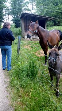 Ian & Doth (475)
